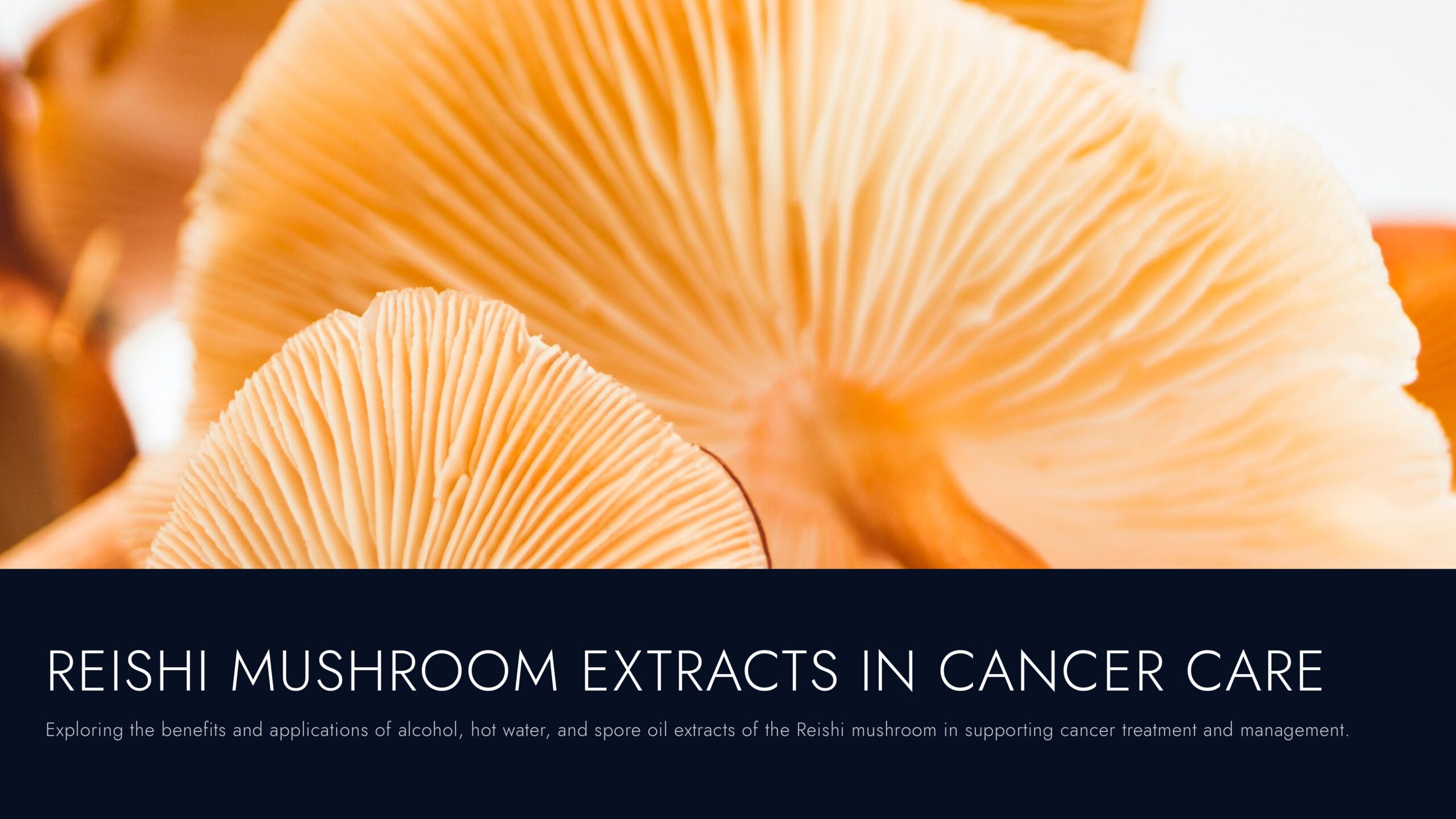 Alcohol Extract vs. Hot Water Extract vs. Spore Oil Extract of the Reishi Mushroom in Cancer Care