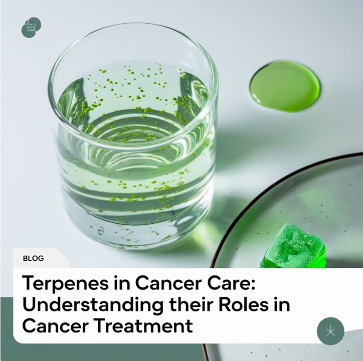 Terpenes in Cancer Care: Understanding Their Roles in Cancer Treatment